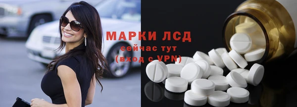 индика Белоозёрский