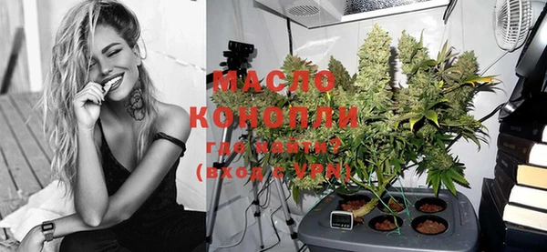 индика Белоозёрский