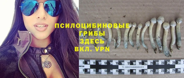 COCAINE Белокуриха