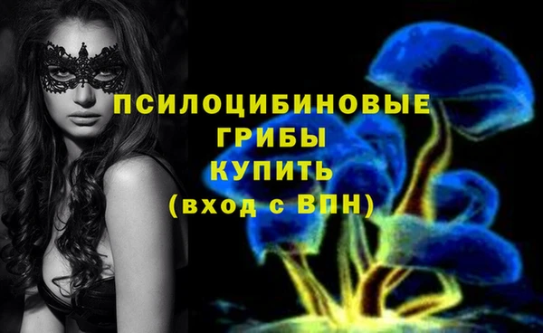 COCAINE Белокуриха