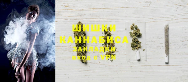 индика Белоозёрский