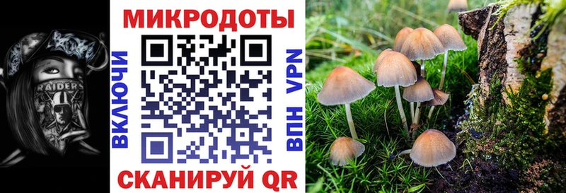 OMG зеркало  Полесск  Псилоцибиновые грибы Magic Shrooms 